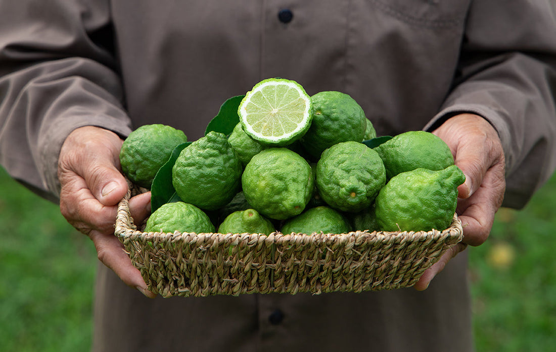 The Benefits of Bergamot